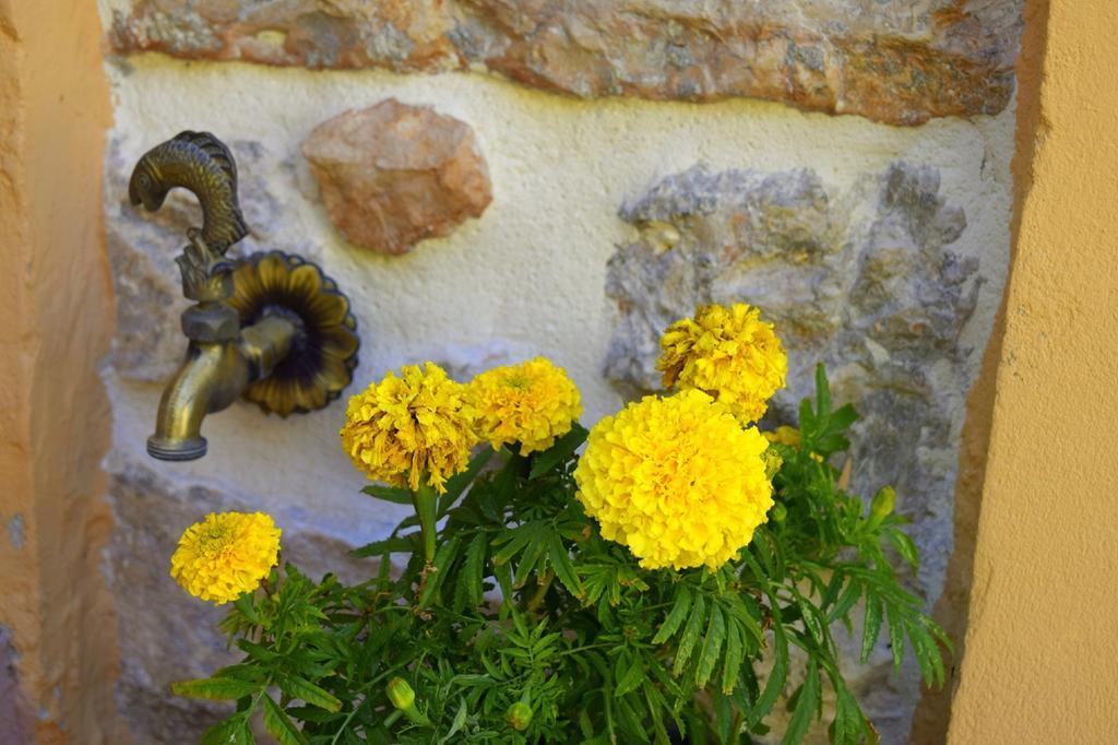 Tilemachos Traditional House Ithaka Exteriér fotografie